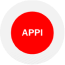 Act on the Protection of Personal Information (APPI)